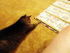 Small_dsc01076