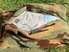 Small_pillow_008