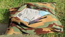 Cute And Simple Pillow Case