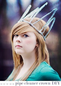 Pipe Cleaner Crown Diy