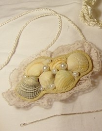 Seashell Necklace