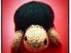 Small_turtle_01