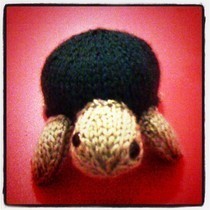 The Turtle