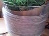 Small_20120821_094127