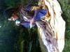 Small_photo_2