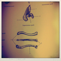 Step 1
