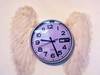 Small_time_flies_gift_2