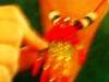 Small_camera_photos_35_047_2
