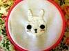 Small_rabbit
