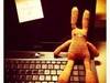 Small_img_2858