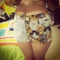 Meoww Kitty Shorts