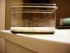 Small_sany0256