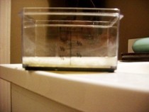 Rice Water For Healthy Skin :)
