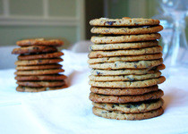Peanut Butter Chocolate Chip Cookies