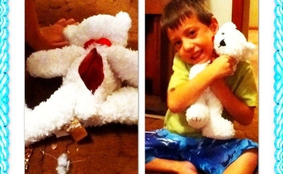 Hide Away Teddy 