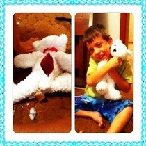 Hide Away Teddy 