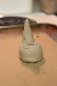 Step 7