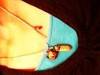 Small_photo