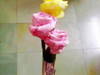 Small_05092012253