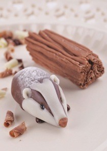 Chocolate Badger