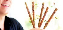 Spooky Forest Sticks