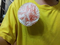 Cupcake Liners Brooch