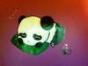 Small_panda
