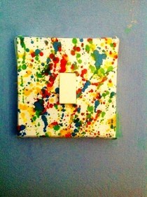 Splat Light Switch Cover