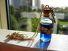 Small_img_3522