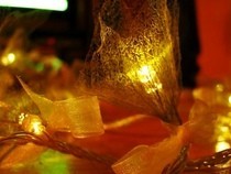Skeleton Leaf Fairy Lights