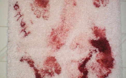 Bloody Bath Rug 