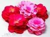 Small_flowers