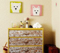 Laci Fied Dresser