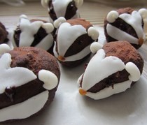 Chocolate Badger