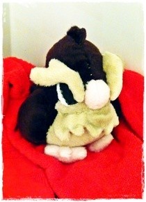 Pidgey Plush Tutorial