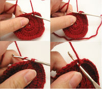 Step 15