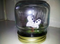Tree Spirit's In A Jar