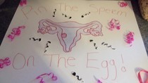 Sperm And Egg Baby Shower Game!