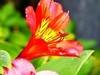 Small_dscf0040
