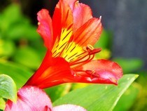 Photos