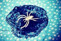 Spider Brooch