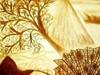 Small_tumultuous