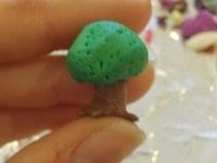 Step 5