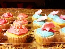 Cotton Candy Cupcakes