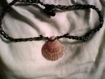 Seashell Necklace