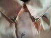 Small_2012-10-05_14.41.29