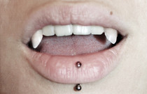 Vampire Fangs