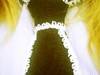 Small_p20121025-101216