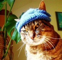 Crochet Cat Beanie 