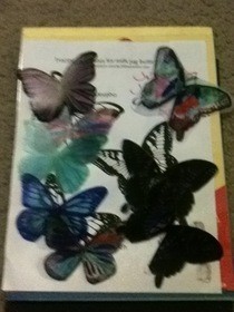 Milk Jug Butterflies